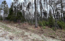 Center Pond Road, Newark, VT 05871