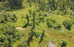 U.S. 131, Kalkaska, MI 49646