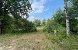 Camp Fish Road NW, Akeley, MN 56484