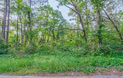 Forest Hill Drive, Frankston, TX 75763