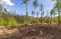Elijah Beede Road, Sandwich, NH 03227