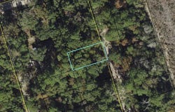 Iroquois Road lot: 38, Crawfordville, FL 32327