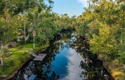 1736 NE River Rd, Steinhatchee, FL 32359