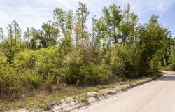 SW GRACELAND RD., Mayo, FL 32066