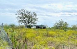 11604 Moore Rd, Austin, TX 78719