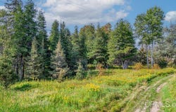 7683 US2 HIGHWAY, RAPID RIVER, MI 49878