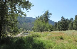 CUSTOMS Rd, CURLEW, WA 99118