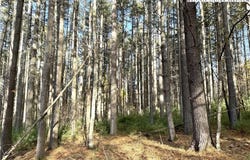 Jr Dairy Road, Ennice, NC 28623