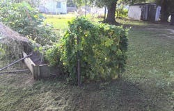108 EPES ST, Blackstone, VA 23824