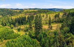 Fairdale Rd, Yamhill, OR 97148
