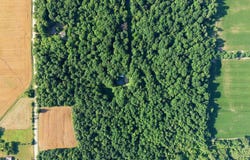 3603 Wixson Road, Croswell, MI 48422
