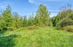 6651 N County Rd 600 E, Grandview, IN 47615