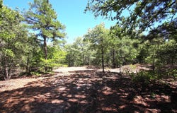 CR 4552, Winnsboro, TX 75494