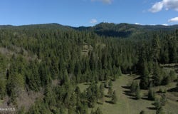 Carlin Creek Rd #256, Harrison, ID 83833