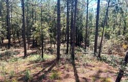 State Highway 225, Bay Minette, AL 36507