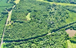 211 County Road 8, Clio, AL 36017