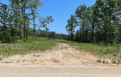 County Road 3440, Mountain View, MO 65548