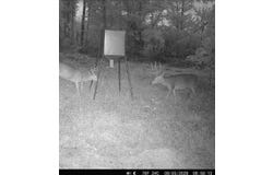 State Route 35, Jackson, OH 45640
