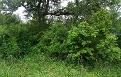 Creek Side Cir, Caldwell, TX 77836