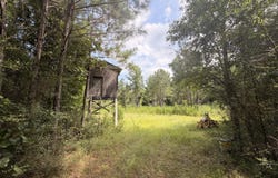 Beartown Road, Jayess, MS 39641