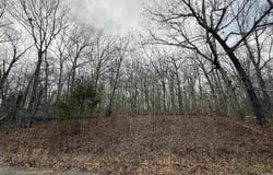 Will Scarlet, Hardy, AR 72542