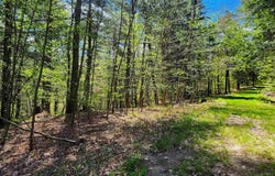 Linden Way, Chester, VT 05143
