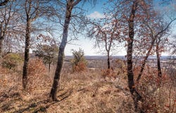 53 Ac Travis Drive, Mineral Wells, TX 76067