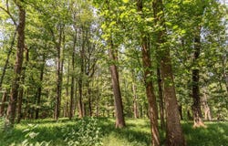 Sunset Dr, Amherst, VA 24521