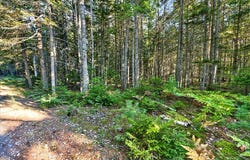 Pretty Marsh Road, Mount Desert, ME 04660