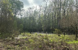 0 Hwy 45 Alt, West Point, MS 39773