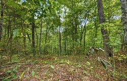 Timber Ridge Lane- Phase Ii lot: 23, Celina, TN 38551