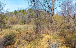 Puppy Creek, Amherst, VA 24521