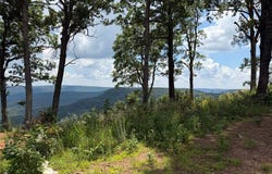 NC 6829 lot: 4, Jasper, AR 72641