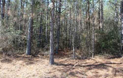 R18754 FM 1751, San Augustine, TX 75972