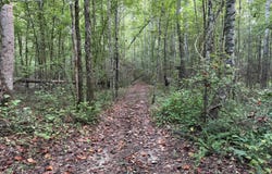 12040 Attala Road 3221, West, MS 39192