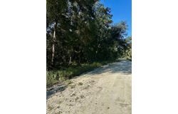 NE 756th St, Old Town, FL 32680