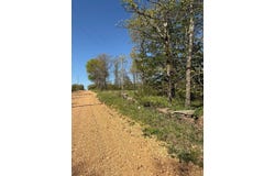 149 N Roanoke Rd, Salem, MO 65560