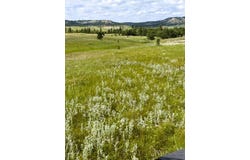 E1 Soaring Eagle Road, Hulett, WY 82720