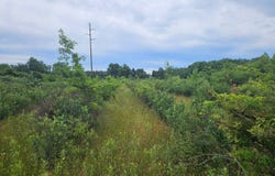 5563 Baseline Rd., Grand Junction, MI 49056