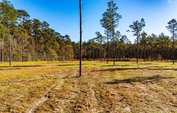 20 Big Buck Drive, Moscow, TX 75960