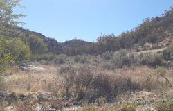 Crazy Horse, Aguanga, CA 92536