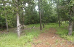 944 Whipporwill, Murchison, TX 75778