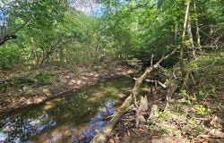 Case Rd, Slocomb, AL 36375