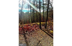 KING Street, BASYE, VA 22810