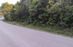Grier Branch Road, Strafford, MO 65757