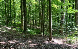 1.7 Tannery Rd, Western, NY 13486