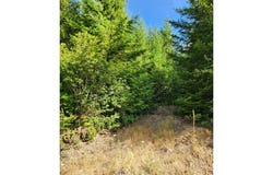 Tumala Mountain Road, Estacada, OR 97023