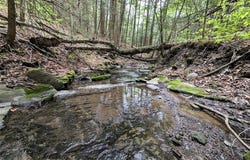 Stewart Road, Addison, NY 14801