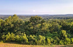 200 TABLEE LANE lot: 17.65, ASHLAND, AL 36251