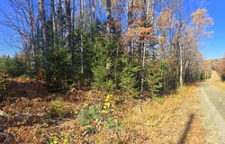 E Madrid Road lot: 1A, Phillips, ME 04966